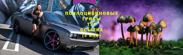 ешки Балахна