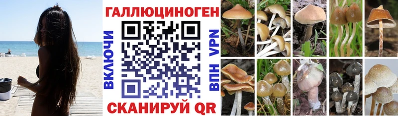 купить наркоту  Котельниково  Псилоцибиновые грибы MAGIC MUSHROOMS 